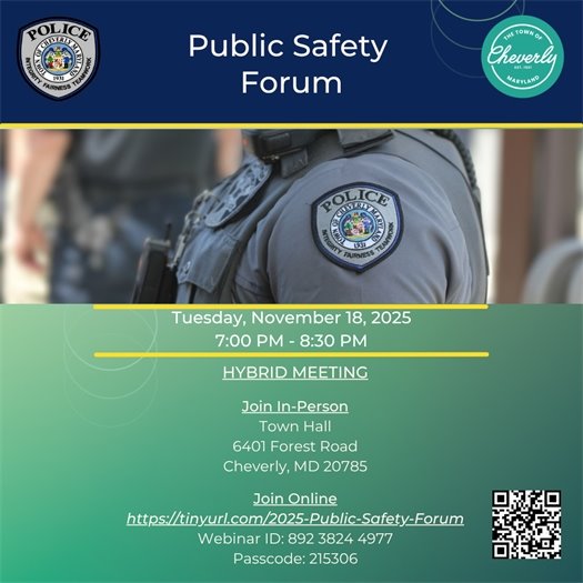 public safety forum