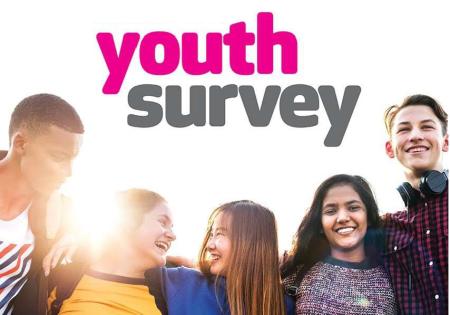 Youth Survery Graphic