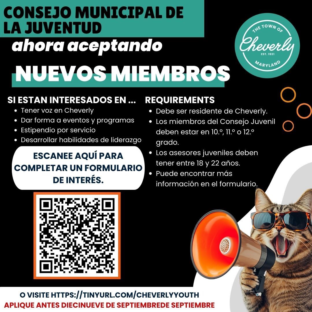 Youth Council Flyer - Spanish