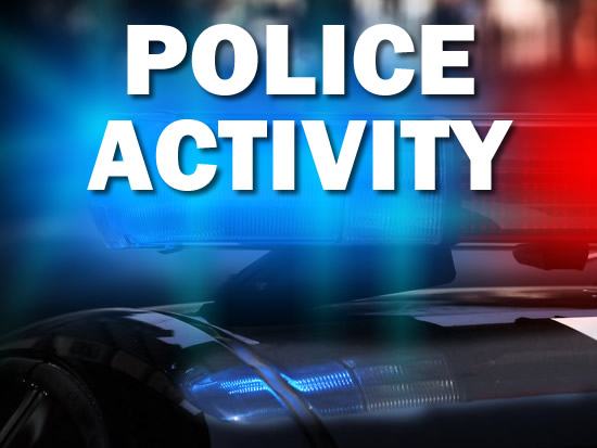 Police Activity Image